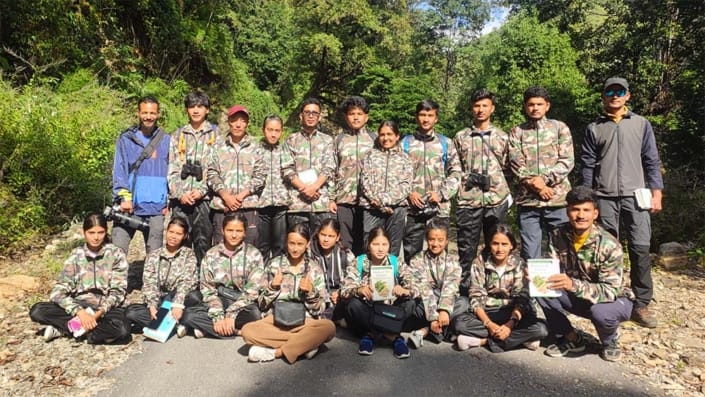 bird wathcing monal bird wathcing monal